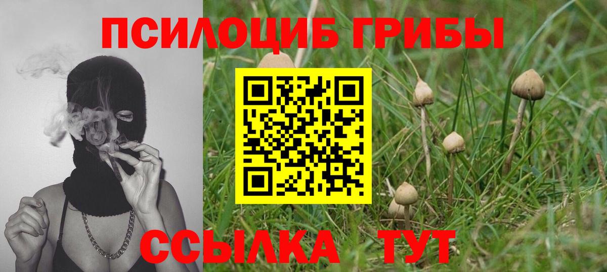 Псилоцибиновые грибы MAGIC MUSHROOMS Топки