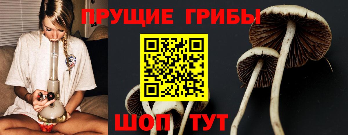 Топки  Галлюциногенные грибы GOLDEN TEACHER  Псилоцибиновые грибы ЛСД  наркошоп  Вход с VPN 